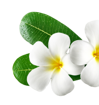 Apsara Beauty Paurlour