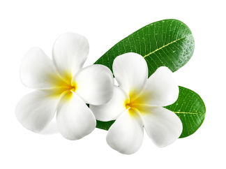 Apsara Beauty Paurlour