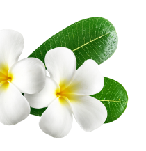 Apsara Beauty Paurlour